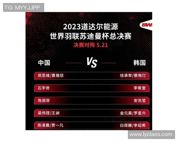 南京羽毛球队团队协作深度解析与其他球队的对比研究