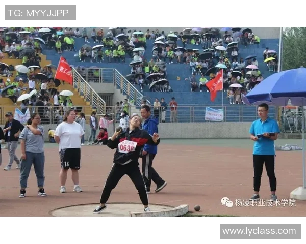 北京排球队的拼搏之路与城市联赛的荣耀时刻 北京排球队的拼搏之路与城市联赛的荣耀时刻